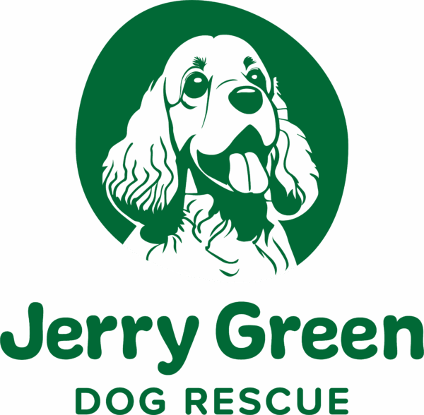 Senior Dog Welfare Assistant