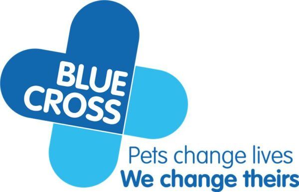 Rehoming Centre Manager