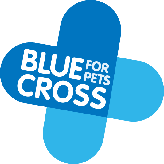 Veterinary Surgeons – London