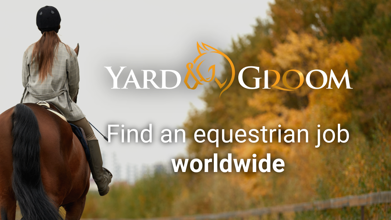 🇬🇧 Apprentice: Groom On Warmblood Stud, UK