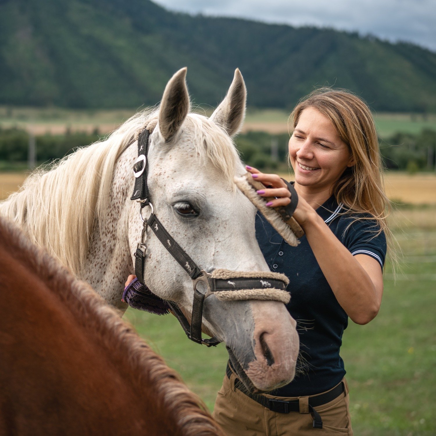 Equestrian