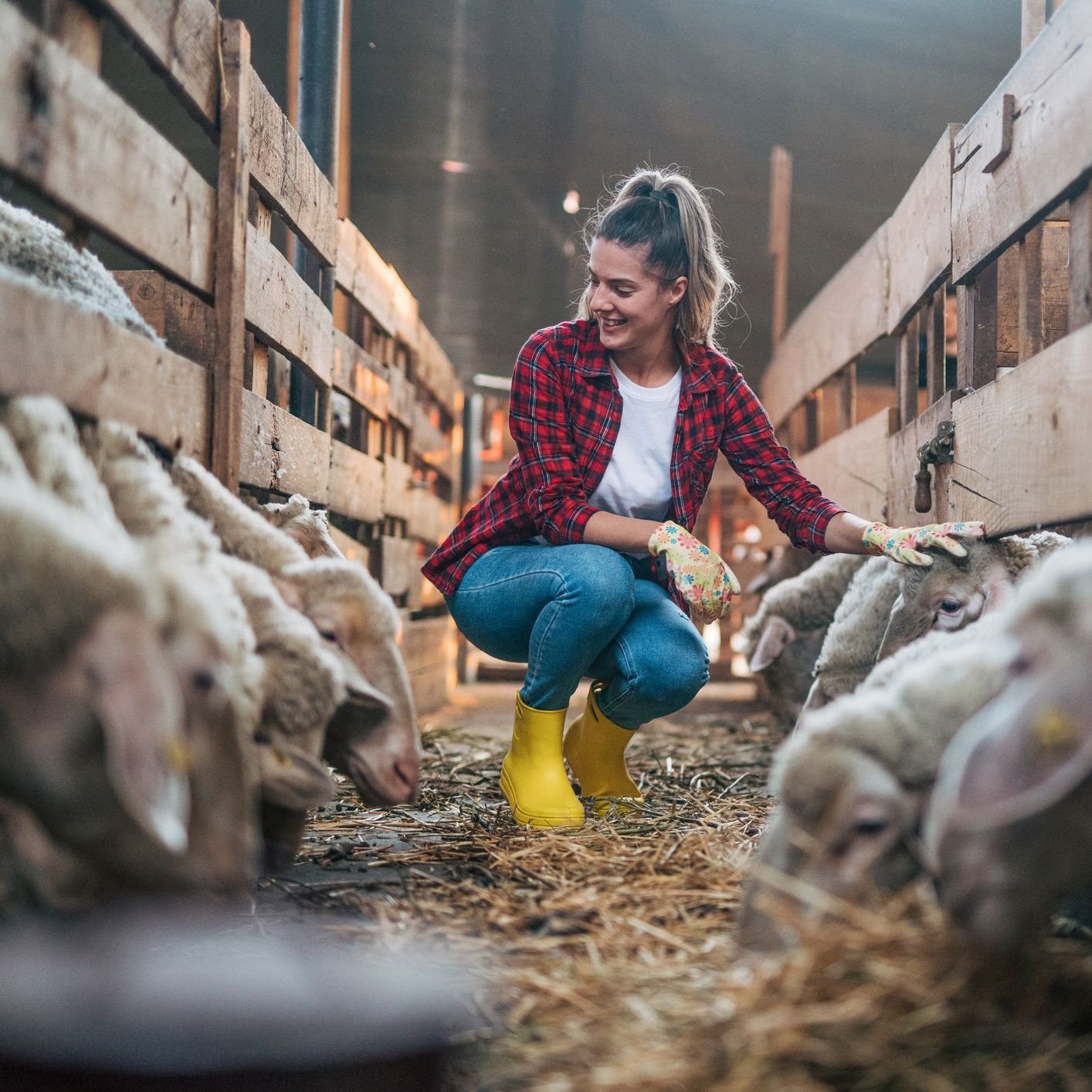 Farming & Agriculture