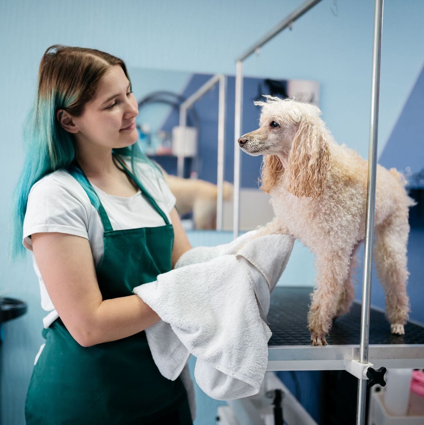 Pet Care