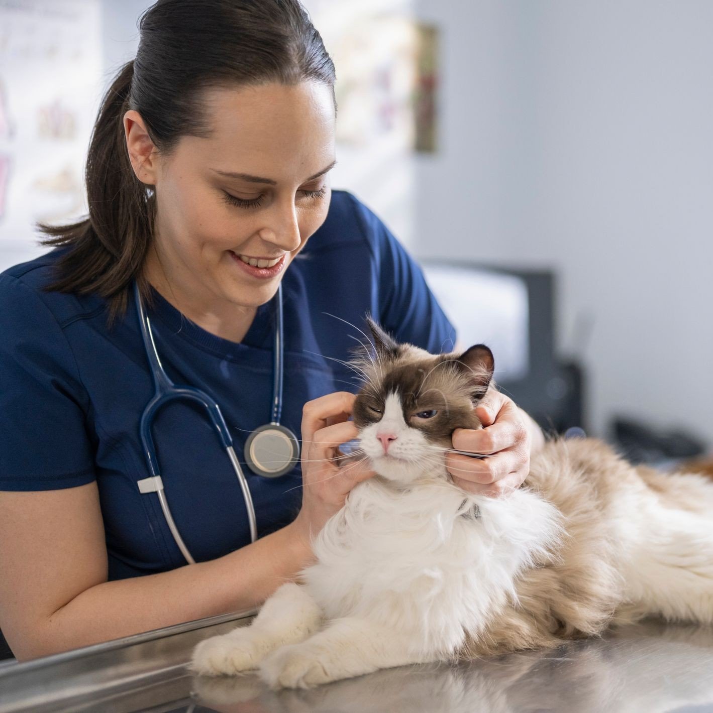 Veterinary