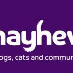 Mayhew