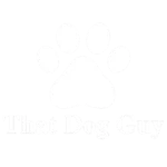 That Dog Guy