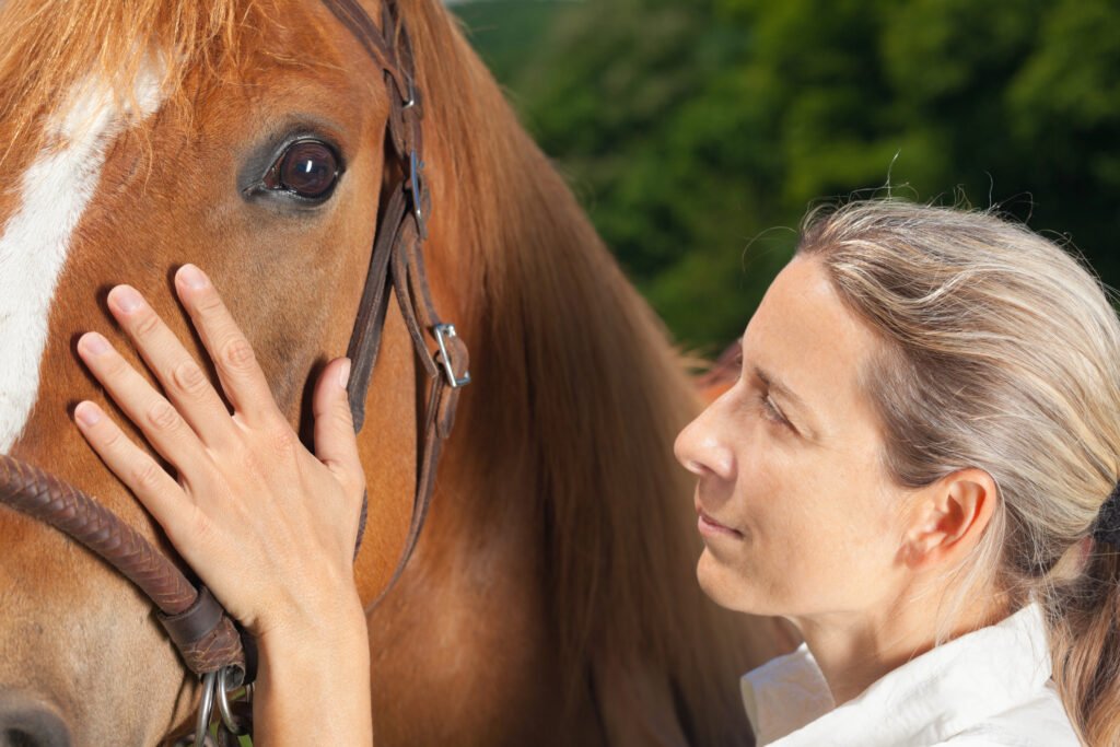 What happens to racehorses when they retire?