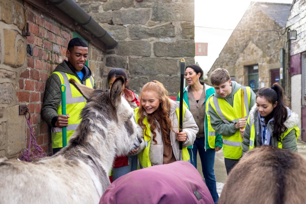 The curriculum gap: why school doesn’t prepare you for working with animals