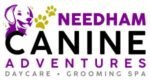 Needham Canine Adventures