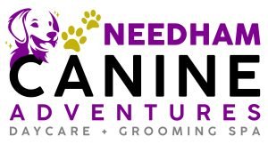 Needham Canine Adventures logo
