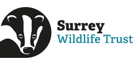 Surrey Wildlife Trust logo