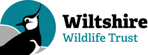 Wiltshire Wildlife Trust logo
