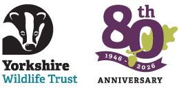 Yorkshire Wildlife Trust logo