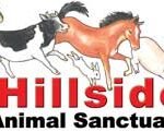 Hillside Animal Sanctuary