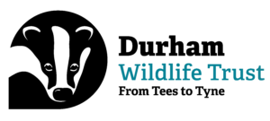 Durham Wildlife Trust logo