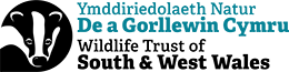 The Wildlife Trust of South & West Wales logo