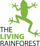 The Living Rainforest