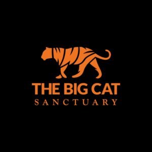 The Big Cat Sanctuary logo