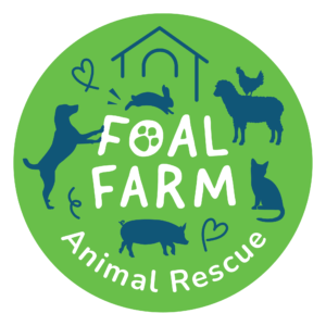 Foal Farm logo