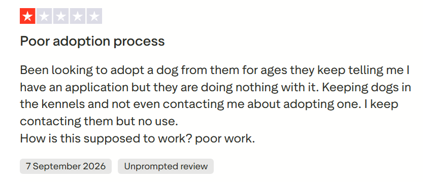 A Trustpilot one-star review about online rehoming