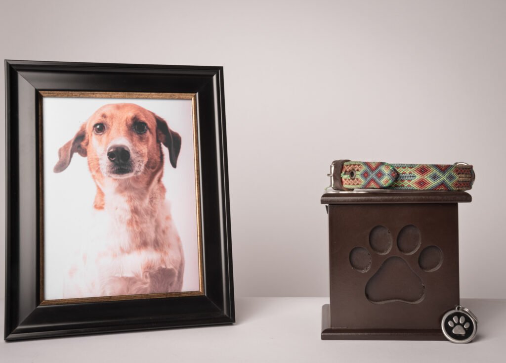 Supporting a grieving pet owner: a career skill worth having