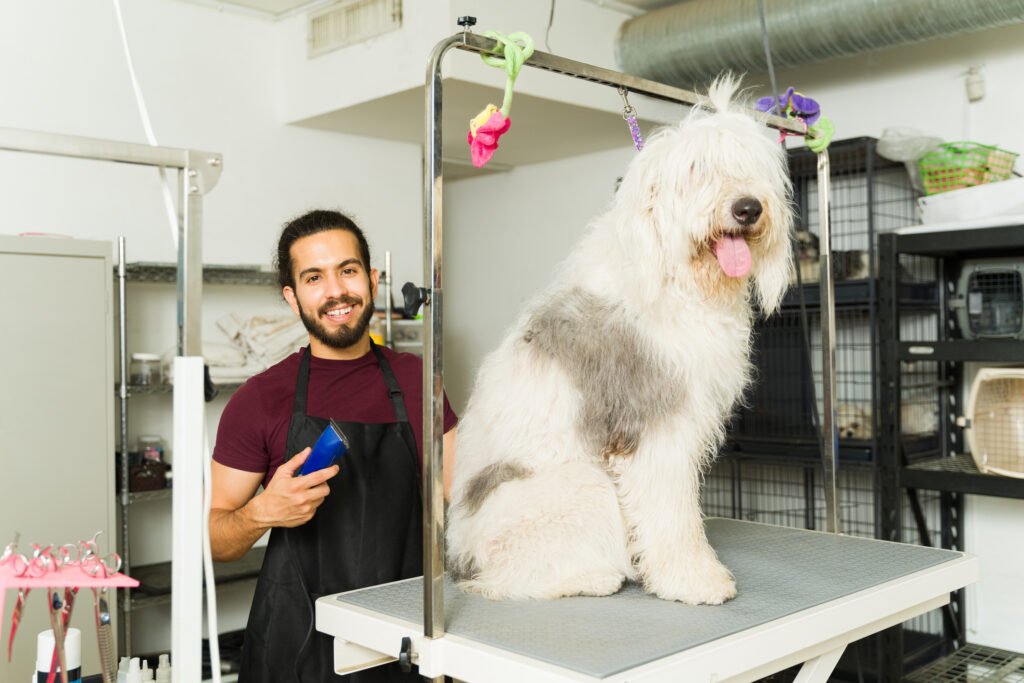 Careers in Dog Grooming: A Growth Industry, or a Bubble Waiting to Burst?
