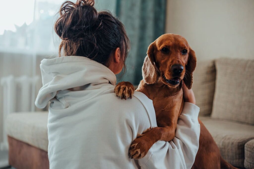 Safeguarding in the Animal Sector: Why It’s Still a Mixed Bag