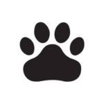 Scottish SPCA