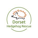 Dorset Hedgehog Rescue