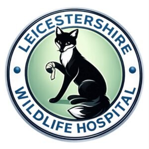 Leicestershire Wildlife Hospital logo