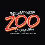 Welsh Mountain Zoo