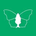 Butterfly Conservation