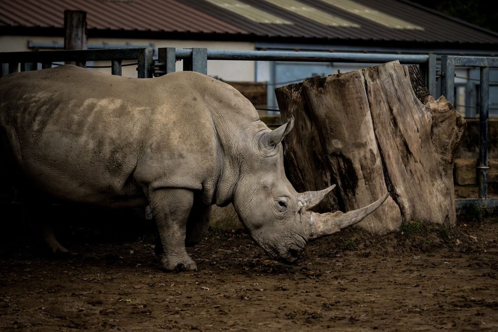 Winter at the Zoo: Work, Contracts and Next Steps for Seasonal Staff