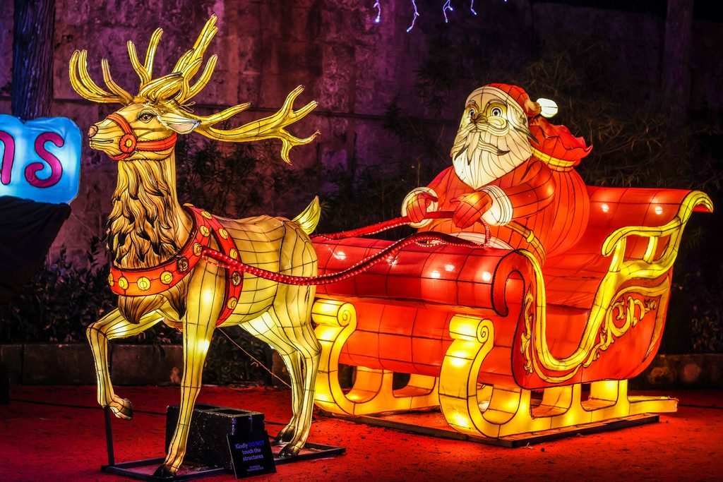 Working at a zoo in winter: A glowing lantern sculpture of a reindeer pulling Santa's sleigh at an after-dark winter lantern trail