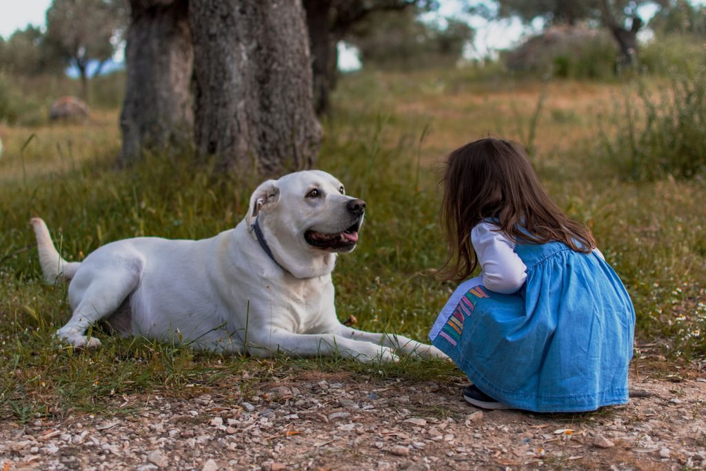 Why It’s So Hard to Rehome Dogs to Families With Children